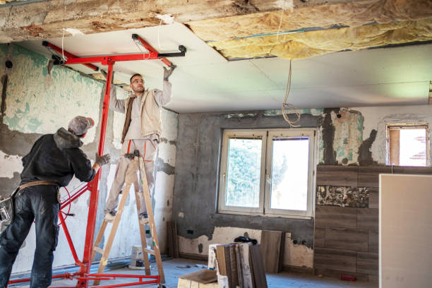 Best Home Insulation Services  in Stevensville, MI