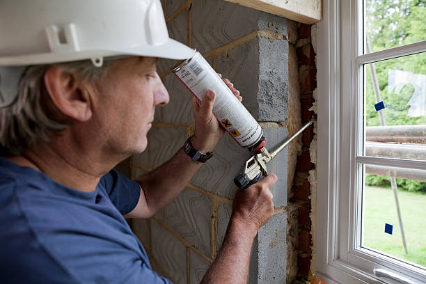 Best Blown-in Insulation  in Stevensville, MI
