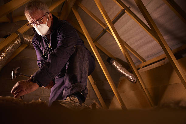 Professional Insulation Contractor in Stevensville, MI